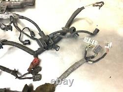 01-03 Civic DX, LX MT Wire Harness Engine Wiring Loom Cables Plugs Sub Cord OEM