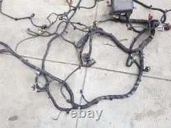 2013-2019 Alfa Romeo 4c Coupe Body Harness Wiring Loom