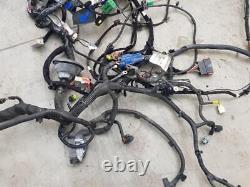 2013-2019 Alfa Romeo 4c Coupe Body Harness Wiring Loom