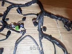 Audi Rs3 Ttrs 2.5 Tfsi Czg Complete Engine Wiring Loom Harness 07k971072al