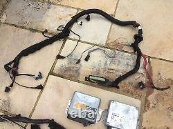 C20xe Engine Wiring Harness For Distributer + Second Harness + 2 X ECUs
