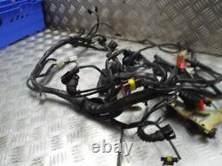 Ducati S4 916 Monster 2001-2003 Wiring Loom Wire Harness