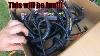 Ebay Standalone Wire Harness Review Is It Worth Saving The Money