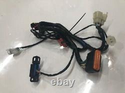 Fits Keeway Superlight 125 LTD EFI- Sub wiring Harness Loom