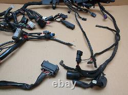 Harley-Davidson XL 883 Iron 2020 5,845 miles wiring loom harness (6518)