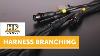It S So Easy To Get This Wrong Wiring Harness Branching Freelesson