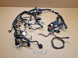 KTM DUKE 790 Wiring loom harness Complete 2018 2020