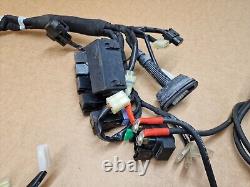 KTM DUKE 790 Wiring loom harness Complete 2018 2020