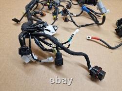 KTM DUKE 790 Wiring loom harness Complete 2018 2020