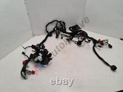 KTM Duke 390 20172022 Wiring Loom Harness