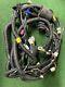 Main Wiring Loom Harness Genuine Part For Quadzilla Pgo Br250 Bugrider Buggy