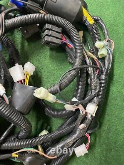 Main Wiring Loom Harness Genuine Part For Quadzilla Pgo Br250 Bugrider Buggy