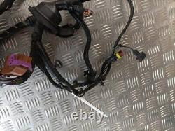 Peugeot Boxer Relay Ducato 2014-2022 Engine Bay Wiring Loom Harness Section