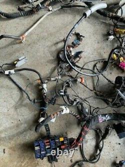 Porsche 911 996 Coupe C4S Manual Complete Car Body Wiring Loom Harness