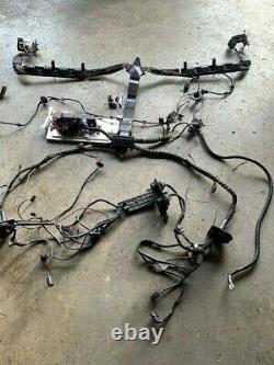 Porsche 911 996 Coupe C4S Manual Complete Car Body Wiring Loom Harness
