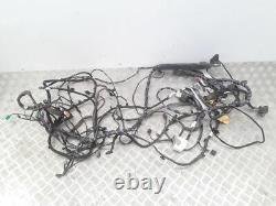 Renault Latitude 2011 LHD Indoor Wiring Cable Harness 241032309R