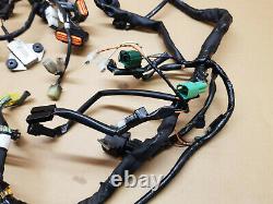 Suzuki VL800 Intruder Wiring loom harness, Unmodified Complete, Fits 2005 2016