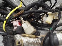 Suzuki XN85 Turbo 1983-1984 83-84 Rare Main Wire Wiring Loom Harness