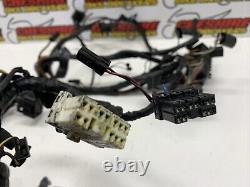 Triumph Bonneville America 790 2001 2007 Main Wiring Loom Harness