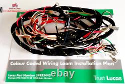 Wiring Harness (Main) T90, T100, T120 LU54953443 Motorcycle Wiring Loom Year 1968