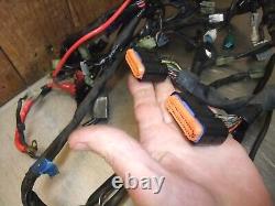 Yamaha FZ1 N 2D1 2010 Wiring loom Harness GC #249