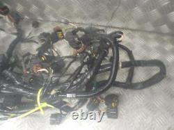 Kawasaki Zx12r Zx-12r 2002-2003 Wiring Main Wire Loom Harness & Power Commander